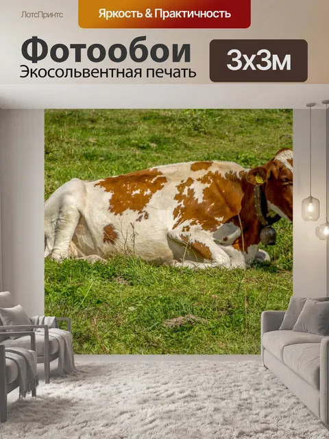 Фотообои Альпийская дойная корова