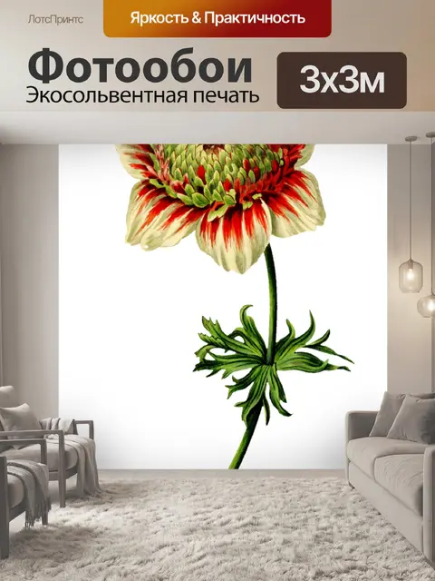 Фотообои Клипарт Цветочная роспись искусства