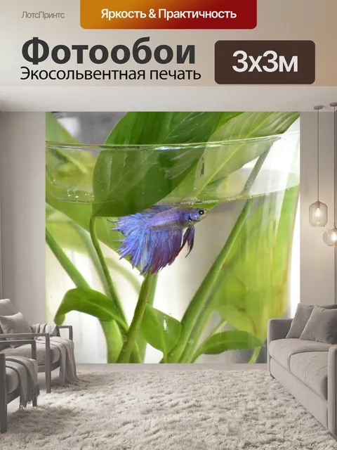 Фотообои Бета