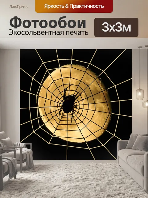 Фотообои Паук