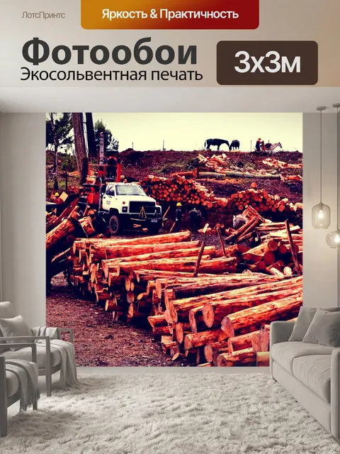 Фотообои Деревья