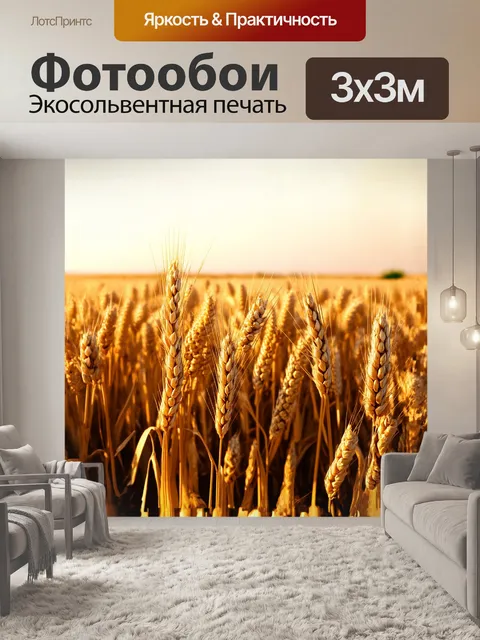 Фотообои поле, полное созревающей пшеницы, укрыто нежным золотистым светом, окружённое тонкими линиями небес…