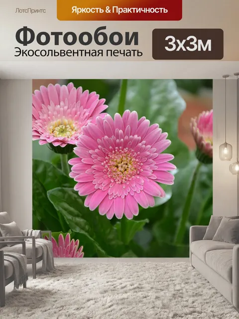 Фотообои Цветок