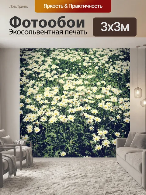 Фотообои Красивый цветок
