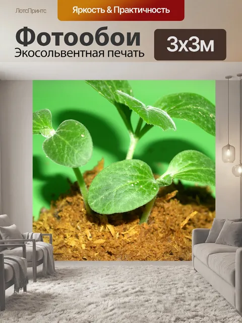 Фотообои Молодое дерево