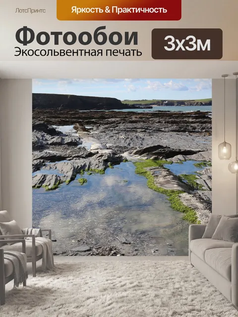 Фотообои Рокпул