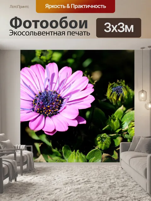Фотообои Увидеть супер максимум