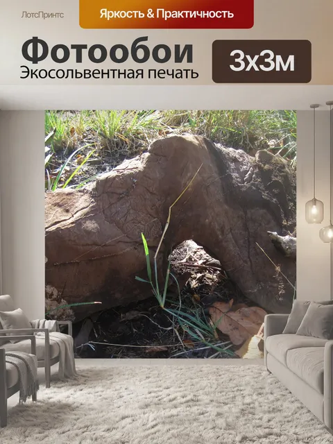 Фотообои удлиненная скала с арочным отверстием