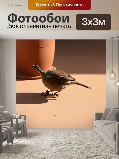 Фотообои тень воробья на фоне терракотового стенда в технике эстетического минимализма