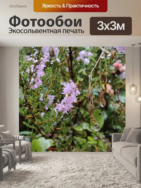 Фотообои Осенний лес, дождь, вереск, паутина