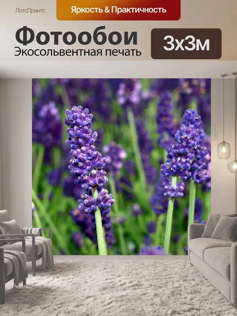 Фотообои Цветок