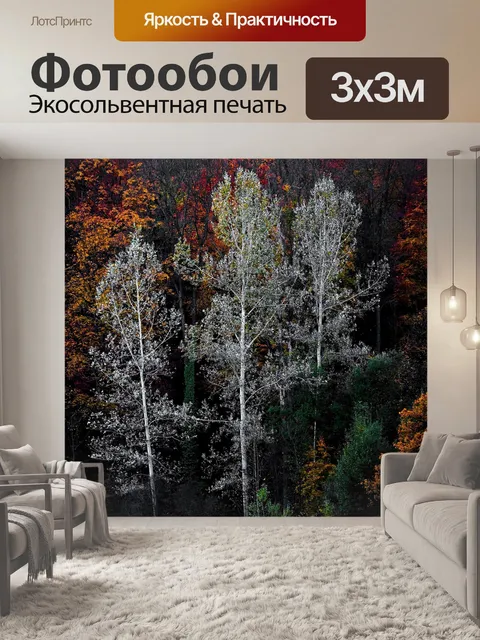 Фотообои Красочный