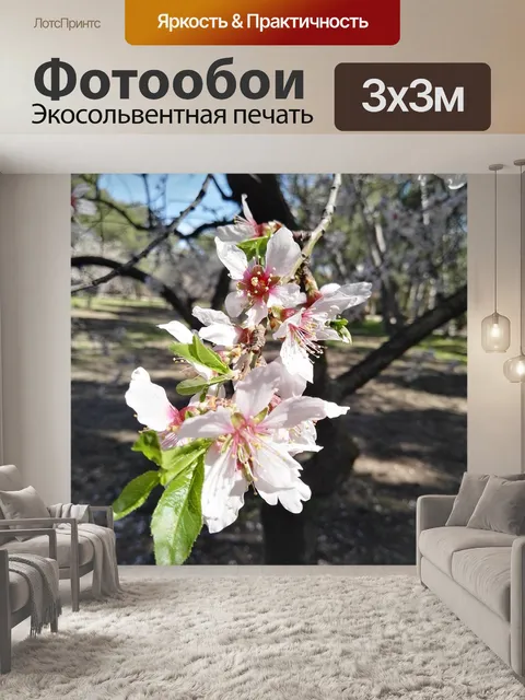 Фотообои Миндальное дерево