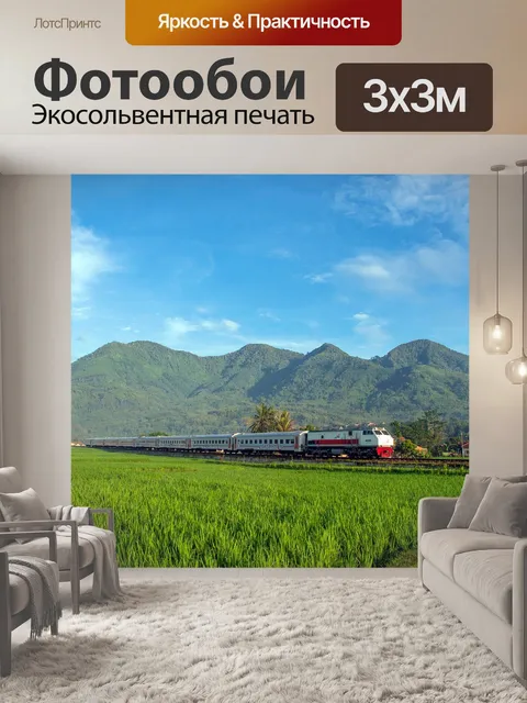 Фотообои Тренироваться