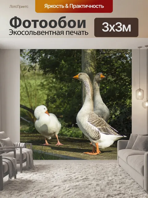 Фотообои Гусь