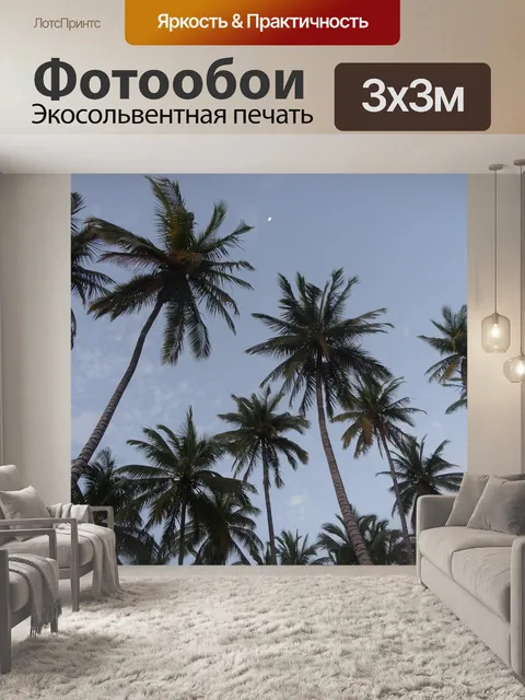 Фотообои Пальмы