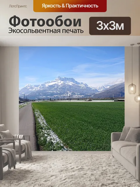 Фотообои Орел