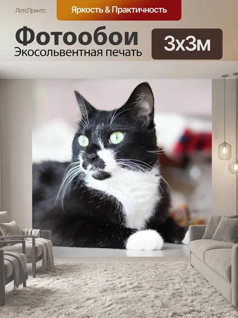 Фотообои Кошачьи глаза