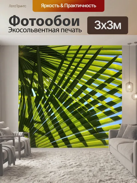 Фотообои Пальма