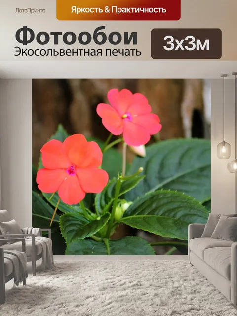 Фотообои Персиковый цвет