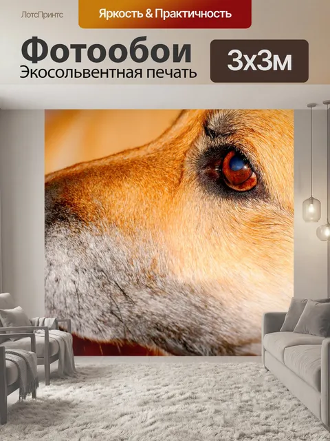 Фотообои Морда собаки