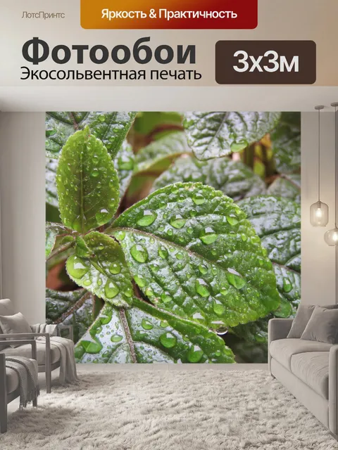 Фотообои Капли
