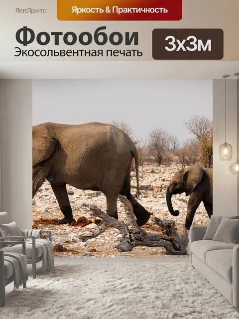 Фотообои Слон