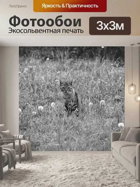 Фотообои Вид на кошку