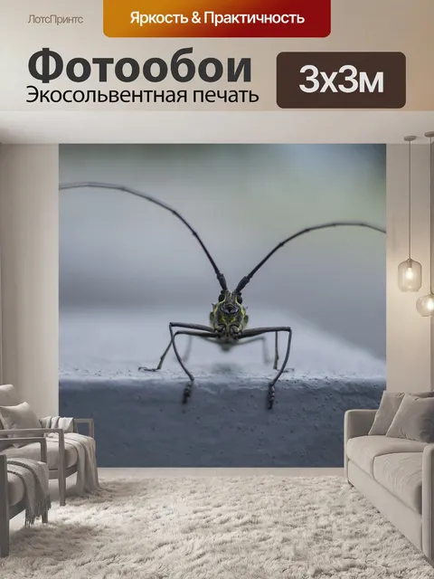 Фотообои Природные