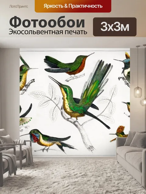Фотообои Птицы колибри винтаж старый