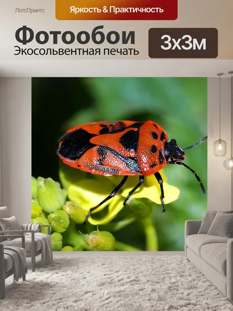Фотообои Насекомые
