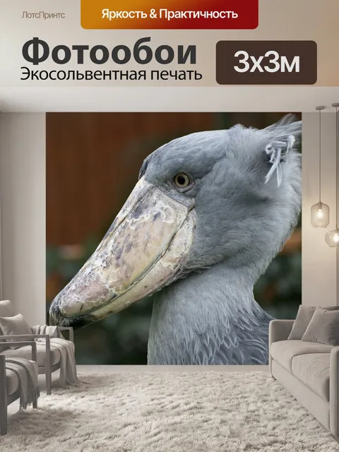 Фотообои Город