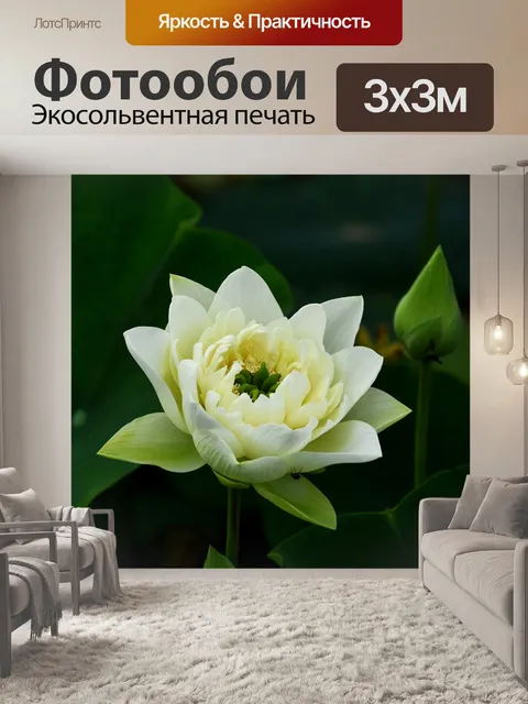 Фотообои Золотой лотос