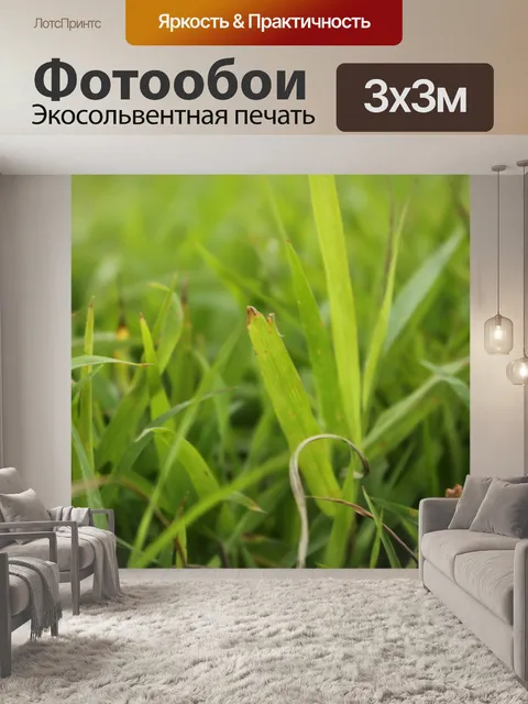 Фотообои трава