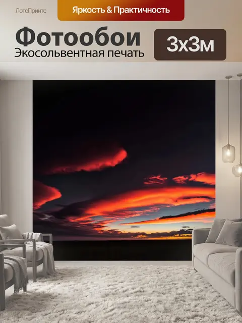 Фотообои устойчивый черный стиль