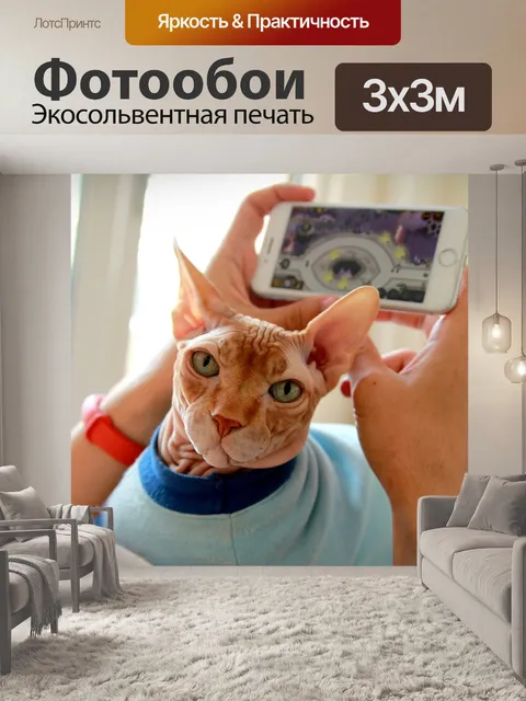 Фотообои Сфинкс