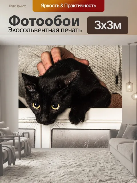 Фотообои Кот