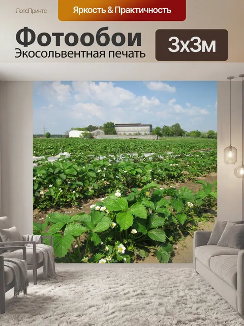 Фотообои Райлинген