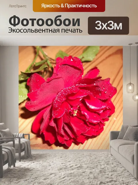 Фотообои Роза