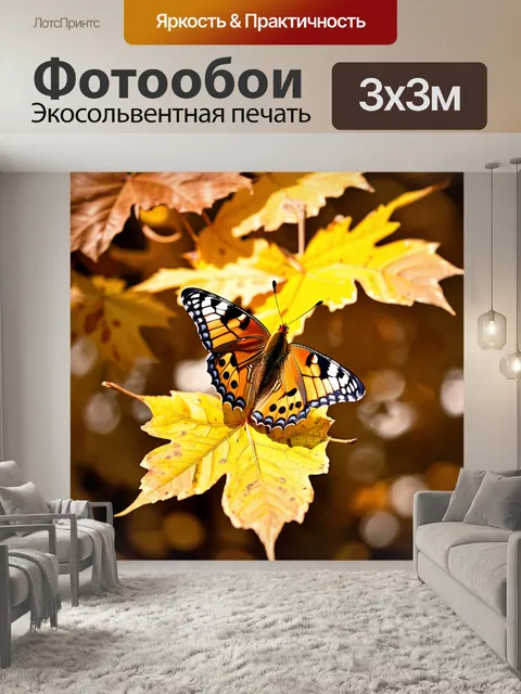 Фотообои бабочка: бабочка, покоится на последнем листе, осенние листья окружают её, придавая природный шарм