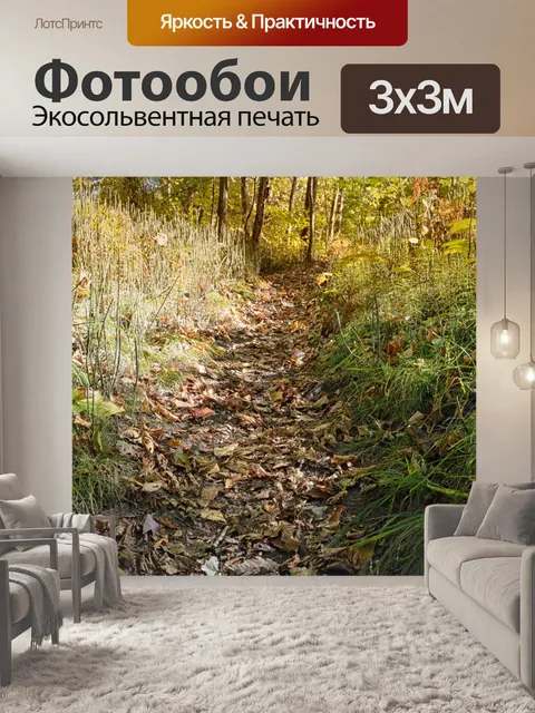 Фотообои Тропа в лесу
