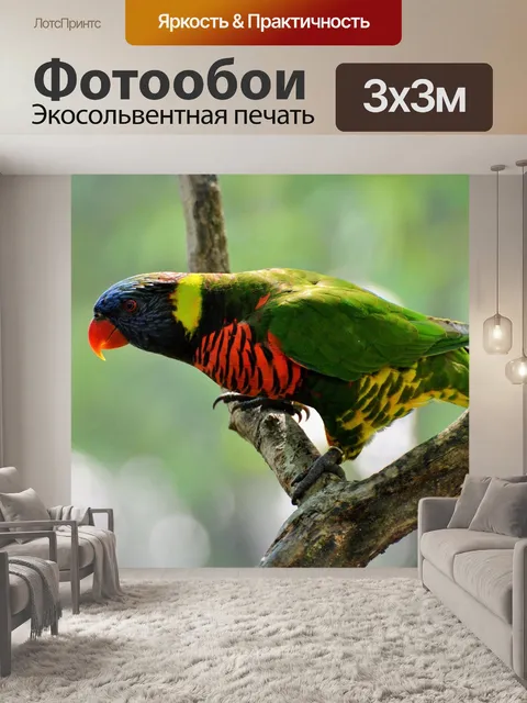 Фотообои Волнистый попугайчик