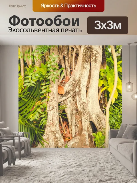 Фотообои корни тропических деревьев