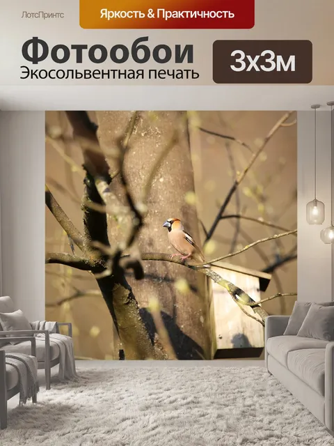 Фотообои Птица