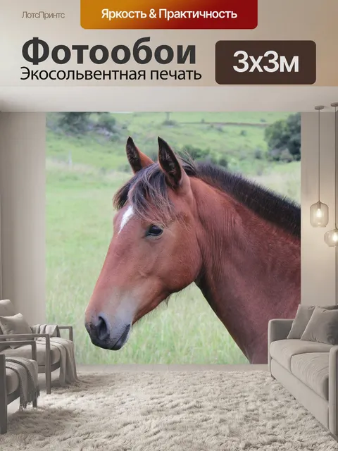 Фотообои Лошадь