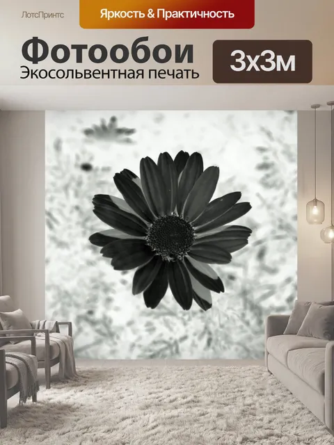 Фотообои инвертировать маргаритки в черный