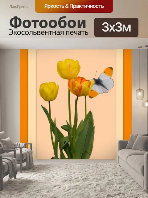 Фотообои Цветы бабочки карты