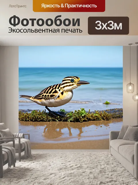 Фотообои охота на жарком южном берегу, где морская флора и фауна создают уникальную экосистему