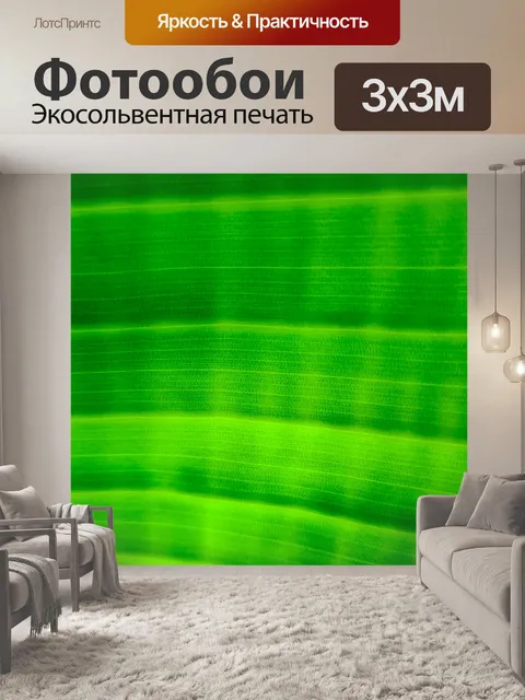 Фотообои Деталь листьев пальмы