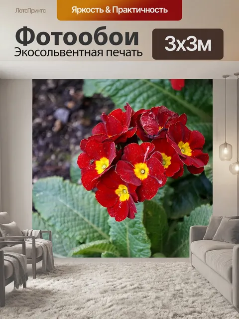 Фотообои Первоцветы
